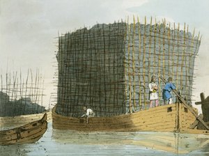 Charcoal Bark, gravé par l